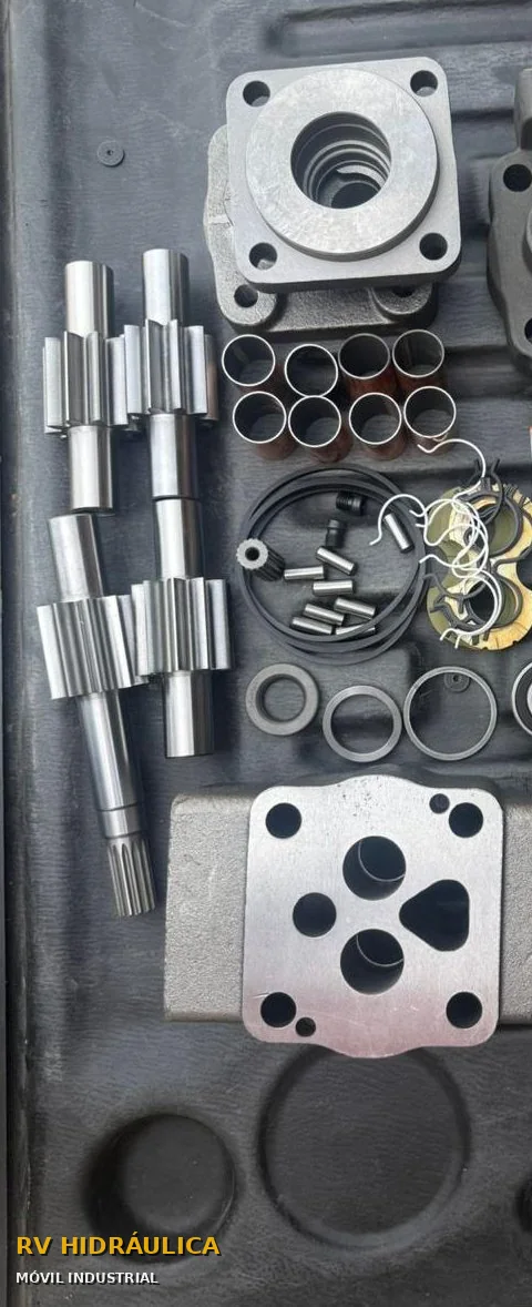 Kit de reparación de bomba: ejes, bujes, cuerpos y tapa